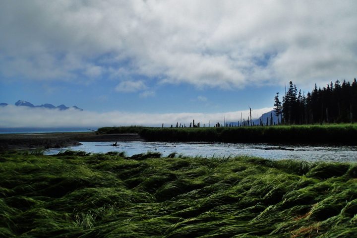 Tonsina Creek